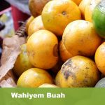 Wahiyem Buah